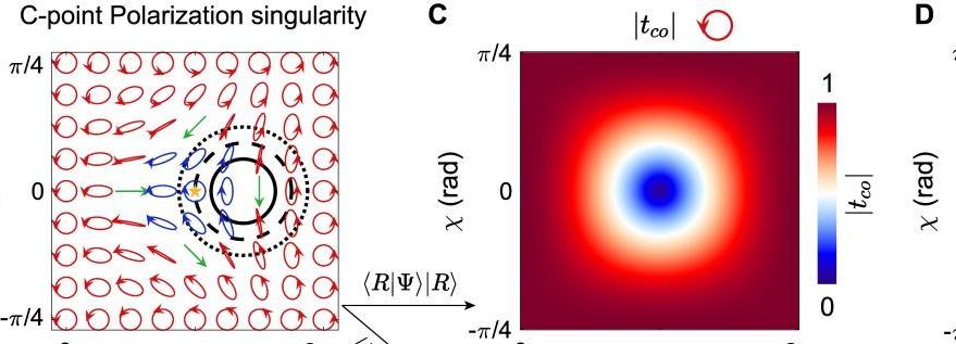 亚洲在线赌博平台导航
