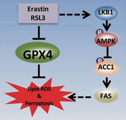 亚洲在线赌博平台导航
