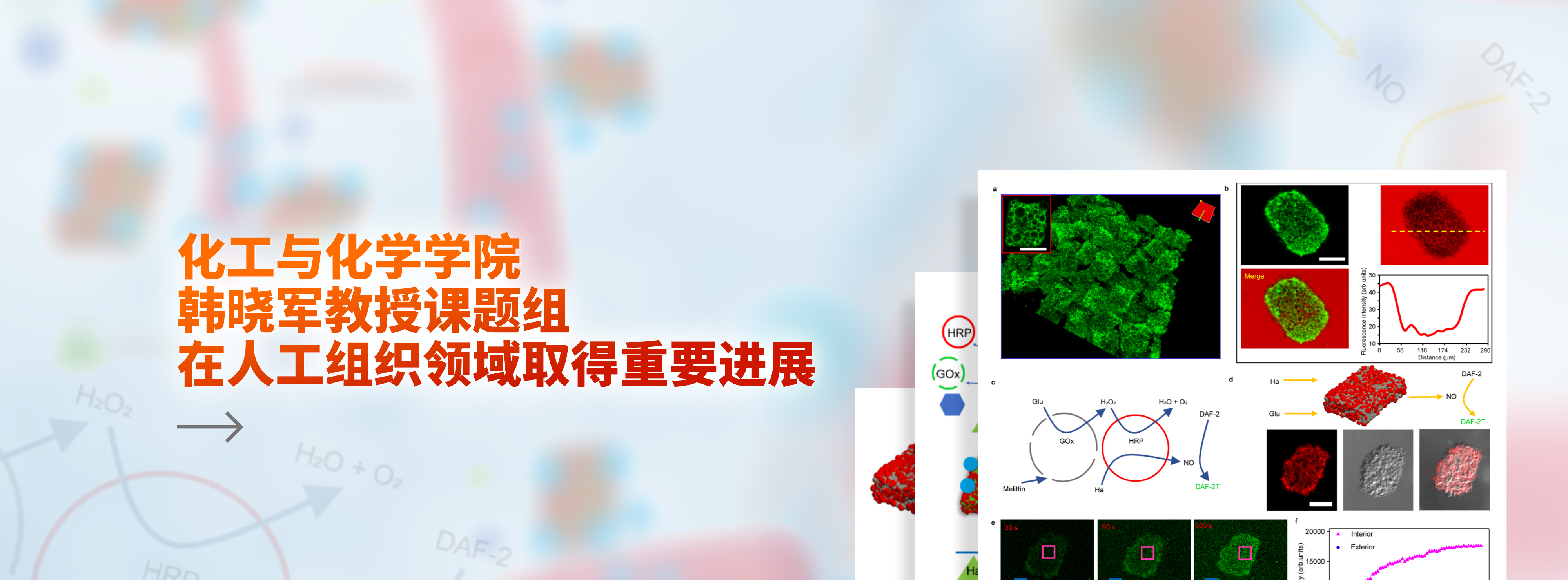 亚洲在线赌博平台导航