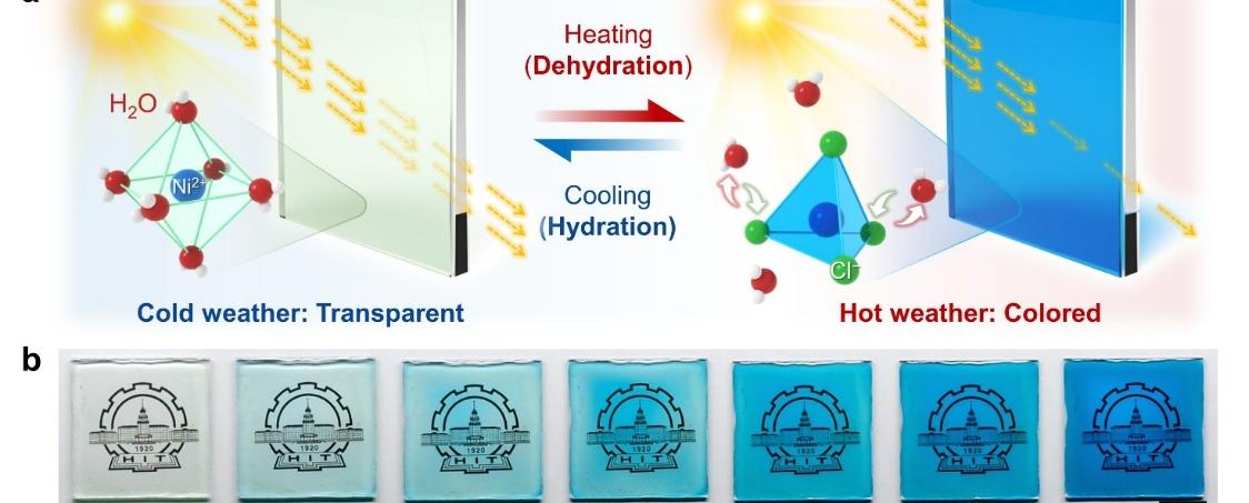 亚洲在线赌博平台导航