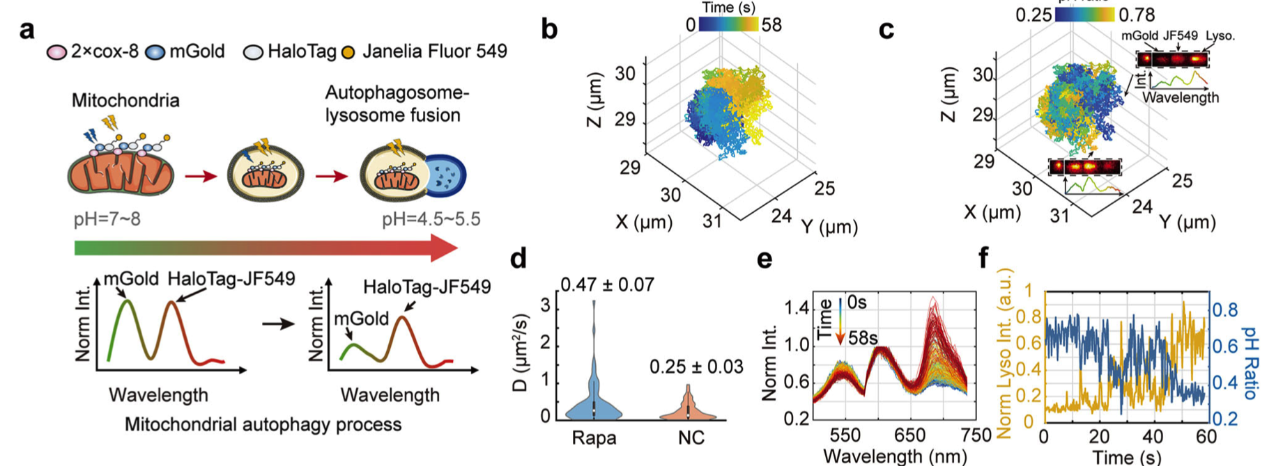 亚洲在线赌博平台导航