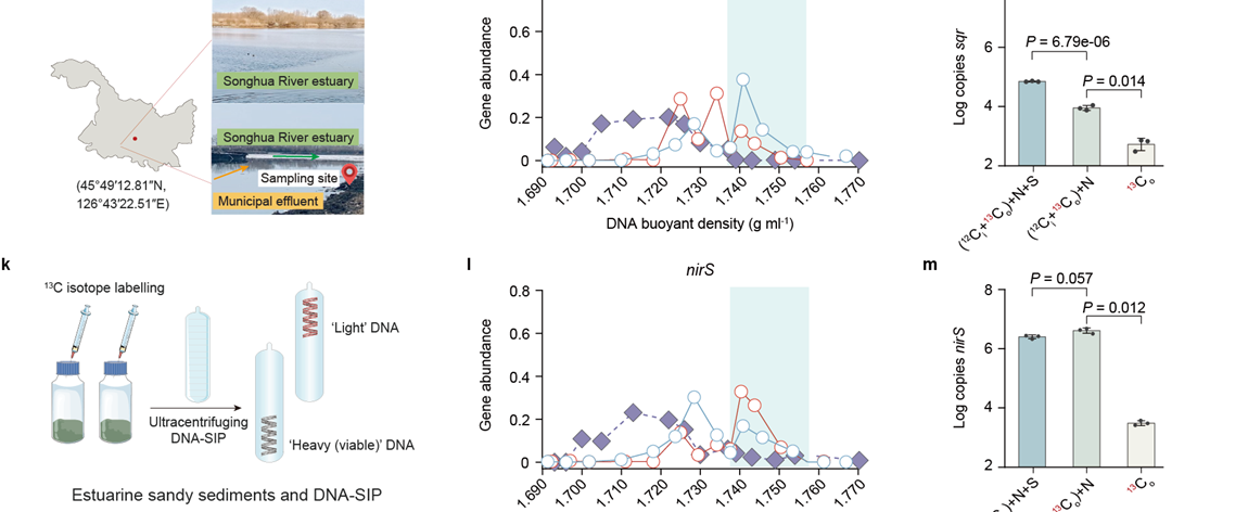 亚洲在线赌博平台导航