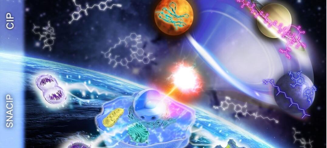 亚洲在线赌博平台导航