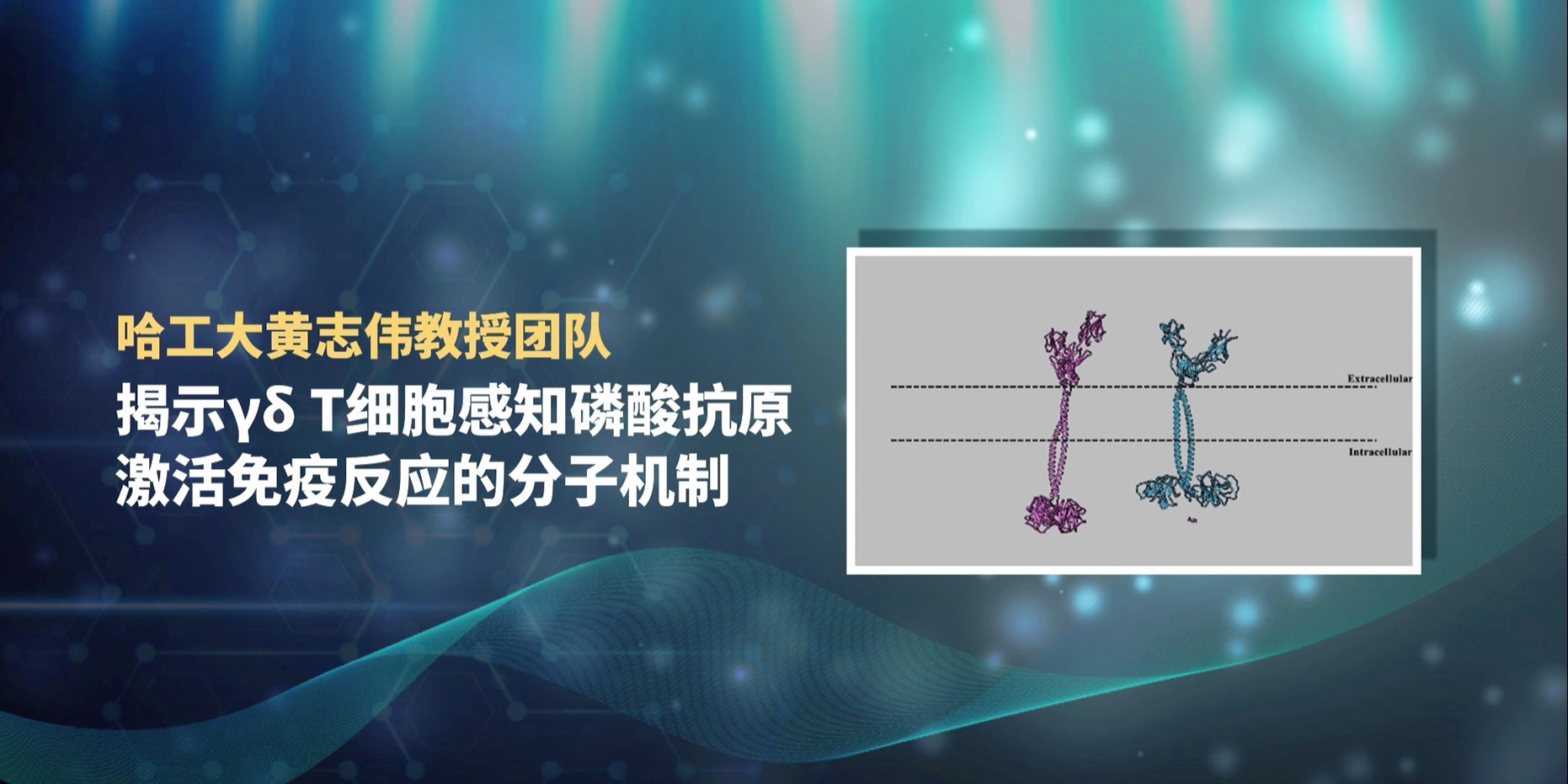 亚洲在线赌博平台导航