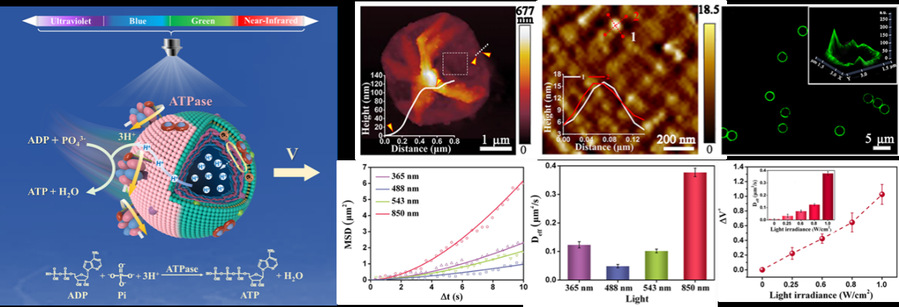 亚洲在线赌博平台导航