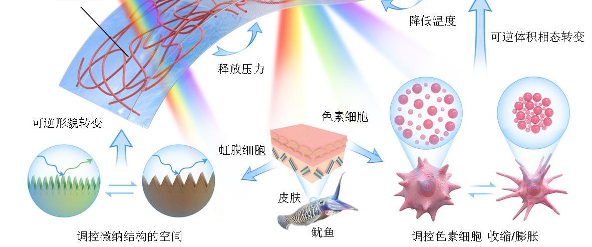亚洲在线赌博平台导航