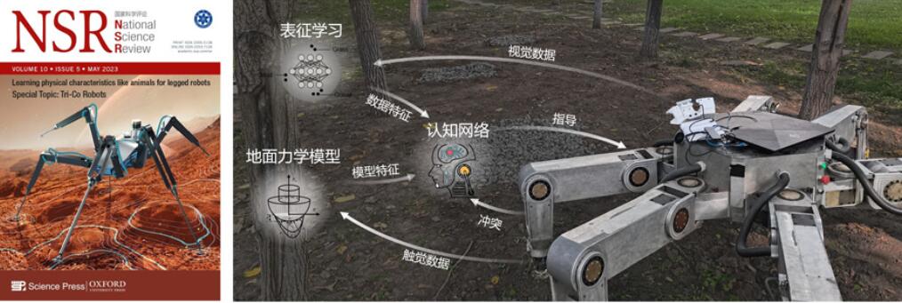 亚洲在线赌博平台导航