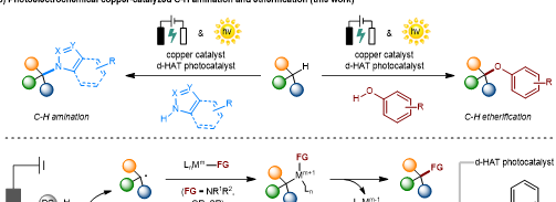 亚洲在线赌博平台导航