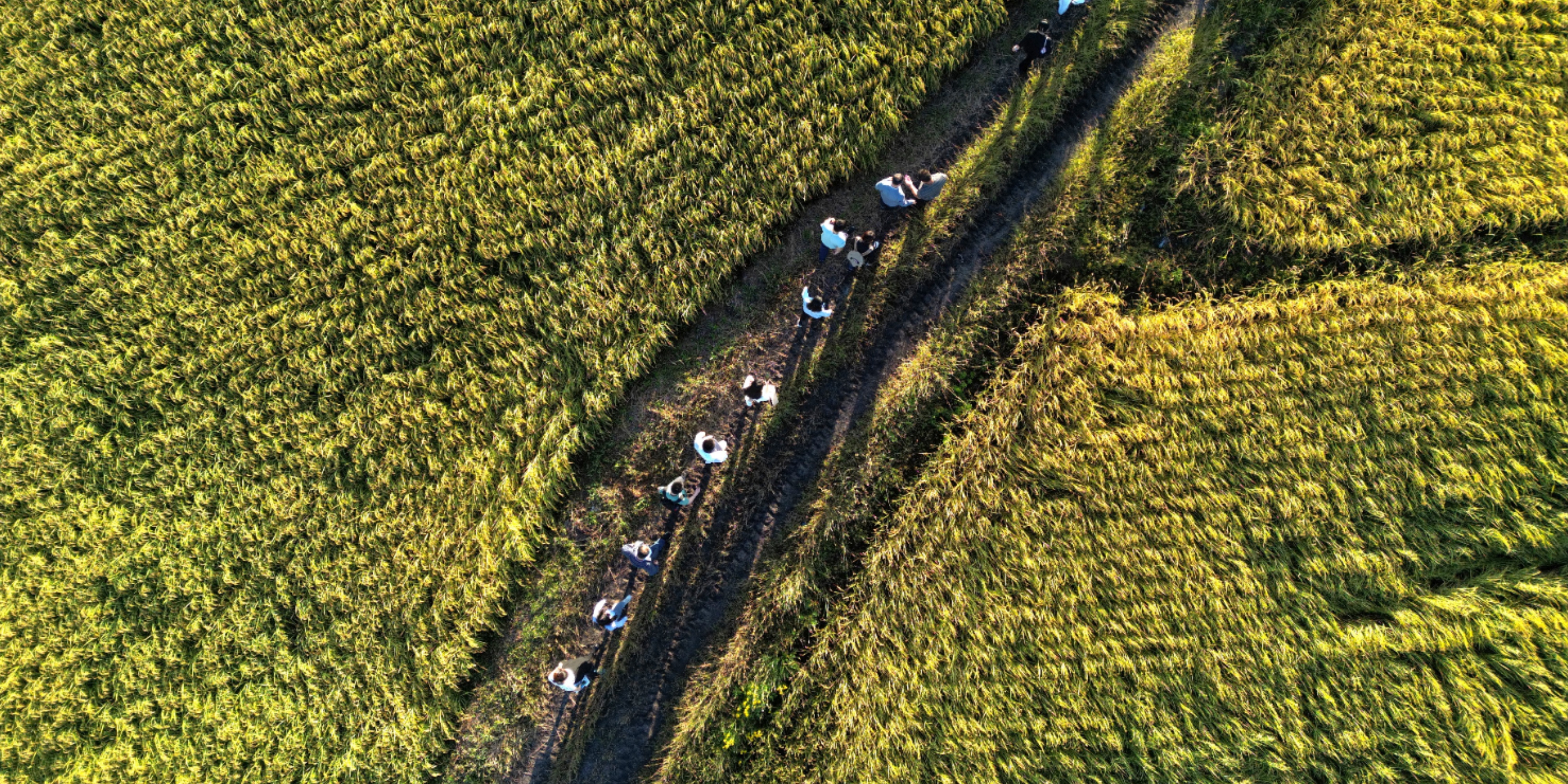 亚洲在线赌博平台导航