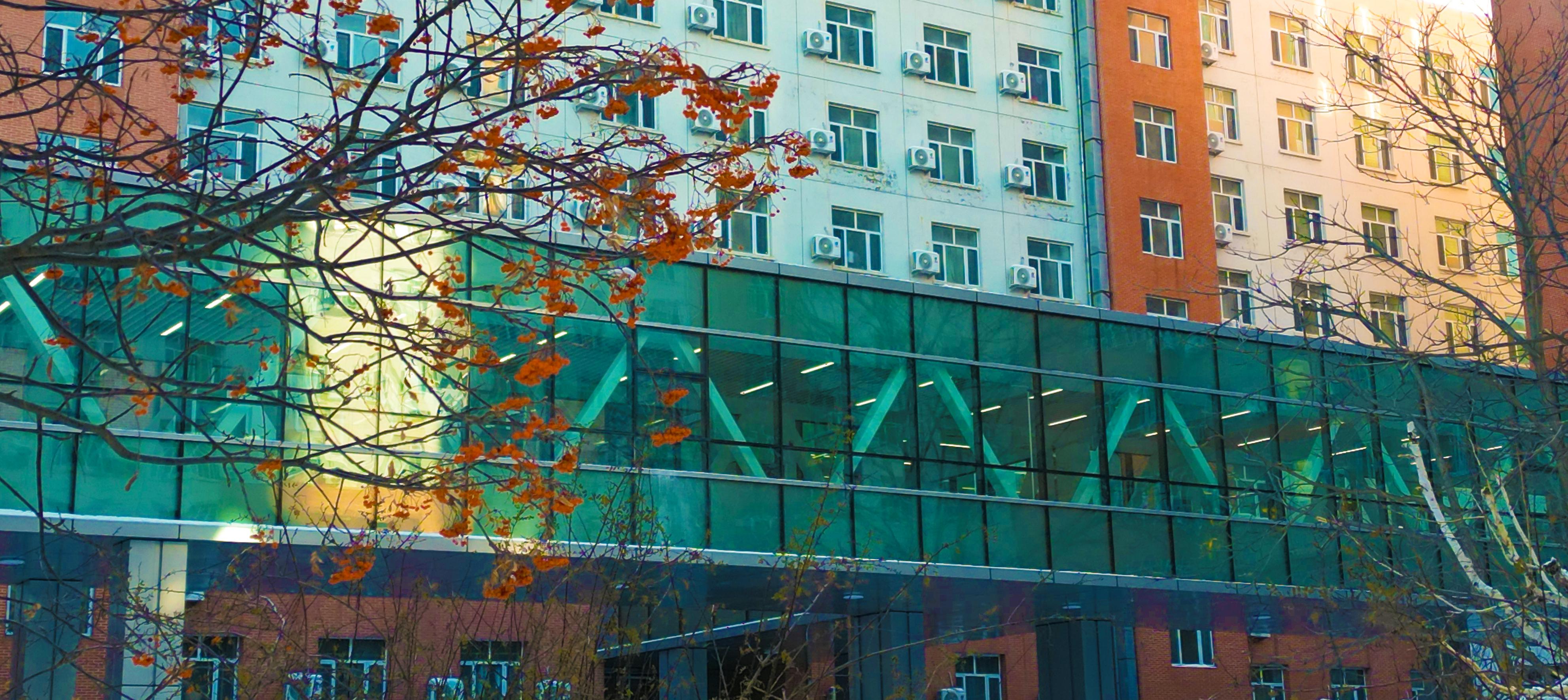 亚洲在线赌博平台导航