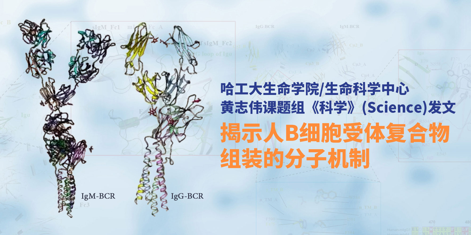 亚洲在线赌博平台导航