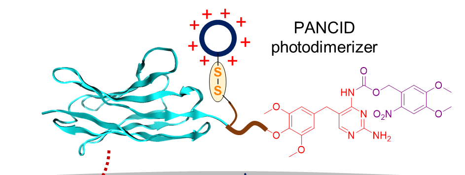 亚洲在线赌博平台导航