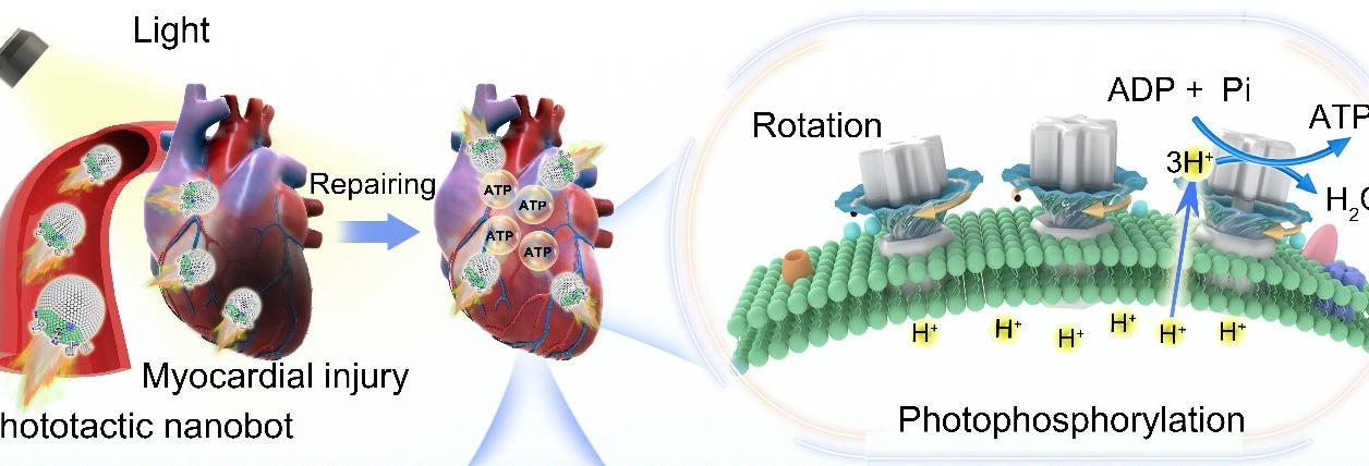 亚洲在线赌博平台导航