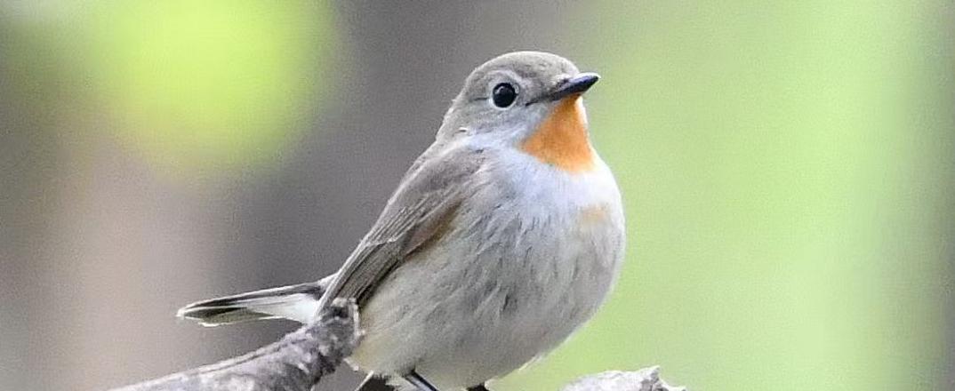 亚洲在线赌博平台导航