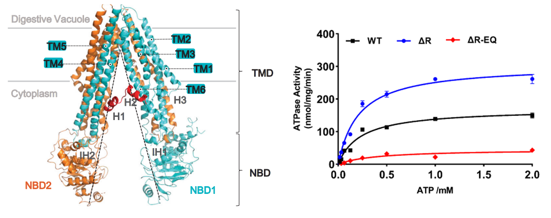 亚洲在线赌博平台导航