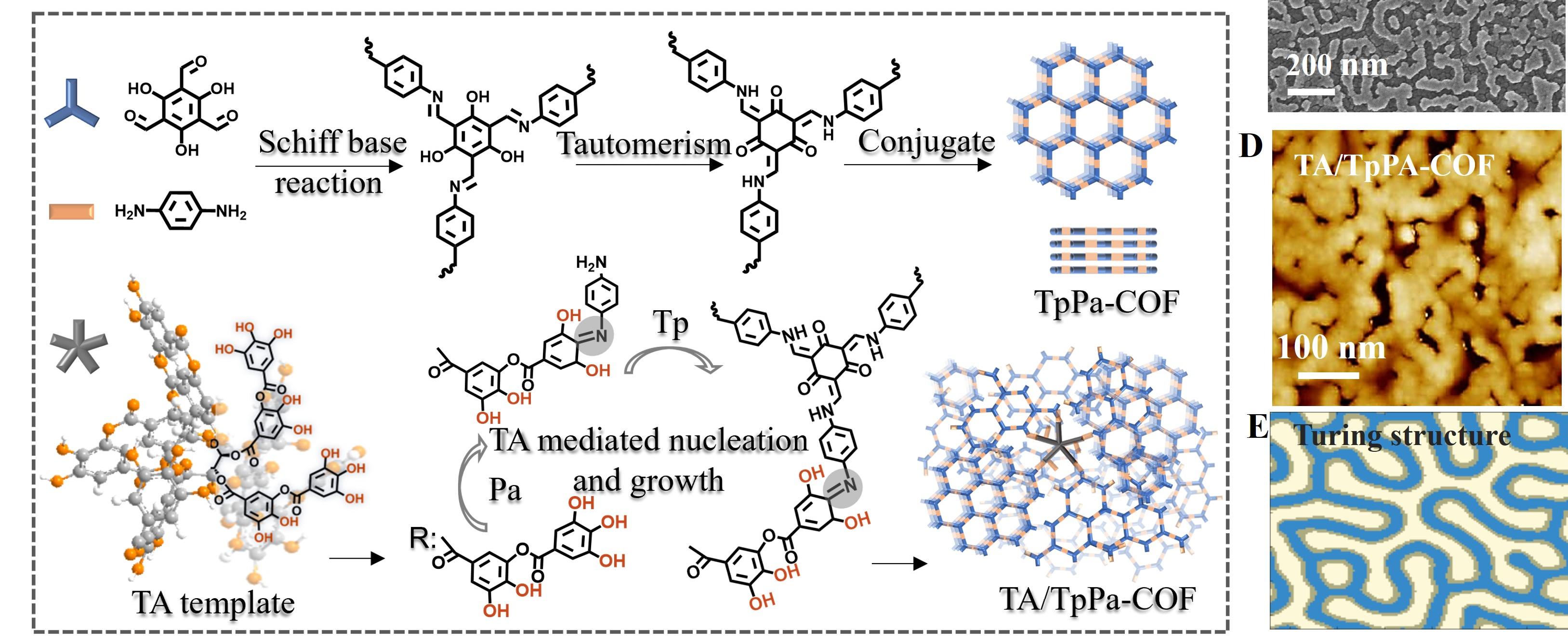亚洲在线赌博平台导航