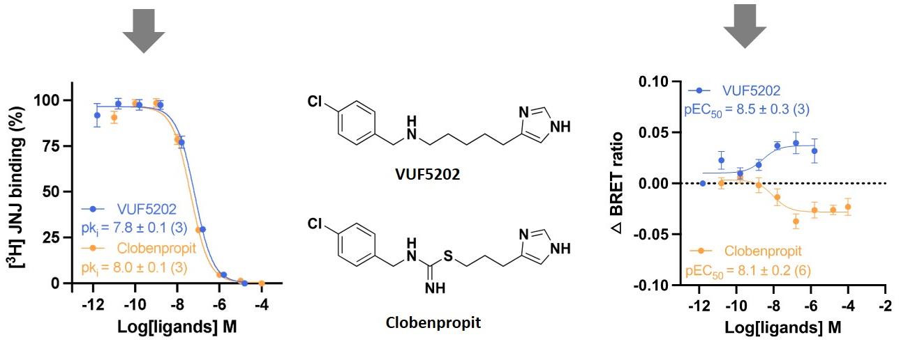 亚洲在线赌博平台导航
