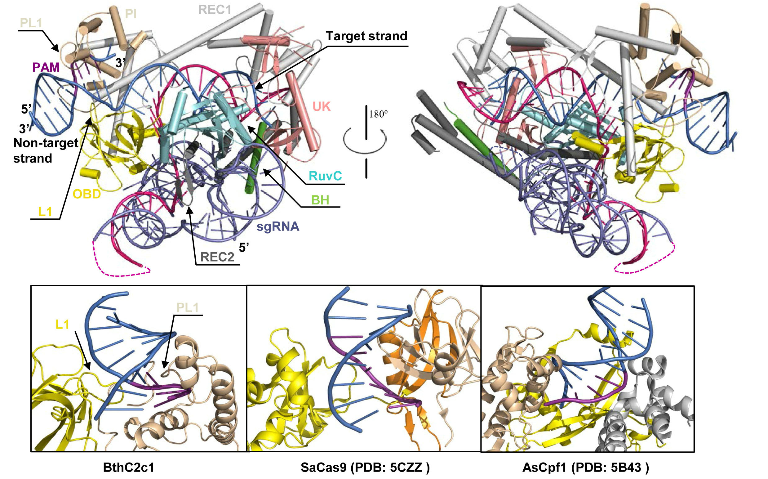 亚洲在线赌博平台导航