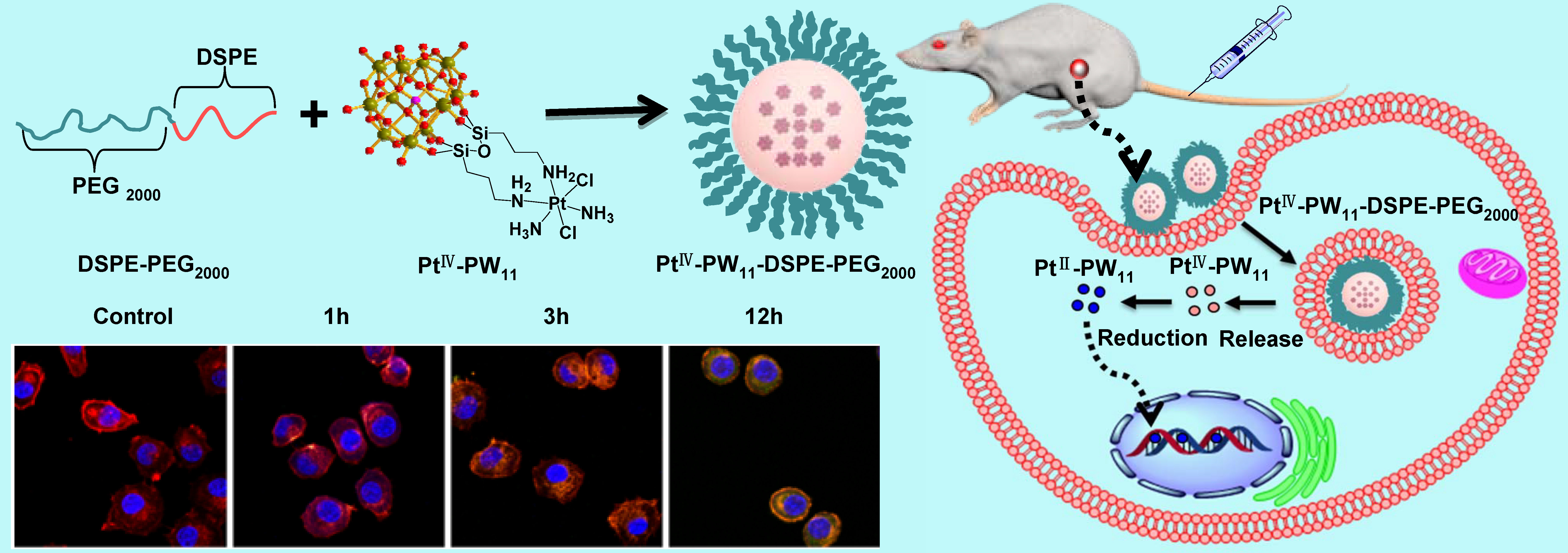 亚洲在线赌博平台导航
