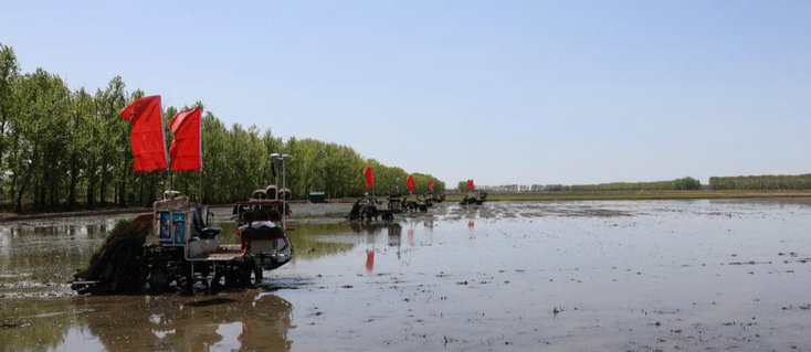 亚洲在线赌博平台导航