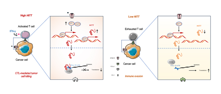 亚洲在线赌博平台导航