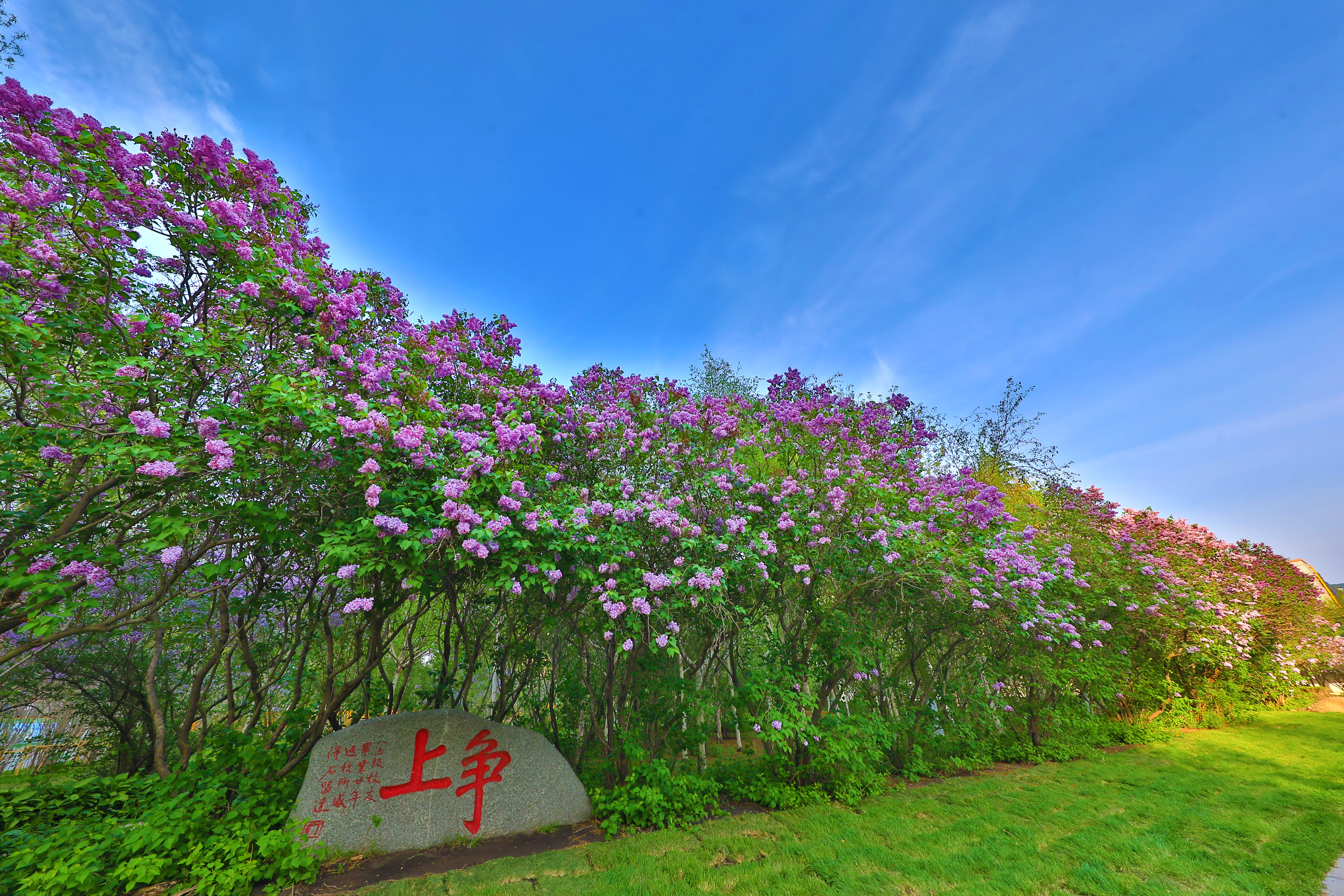 亚洲在线赌博平台导航