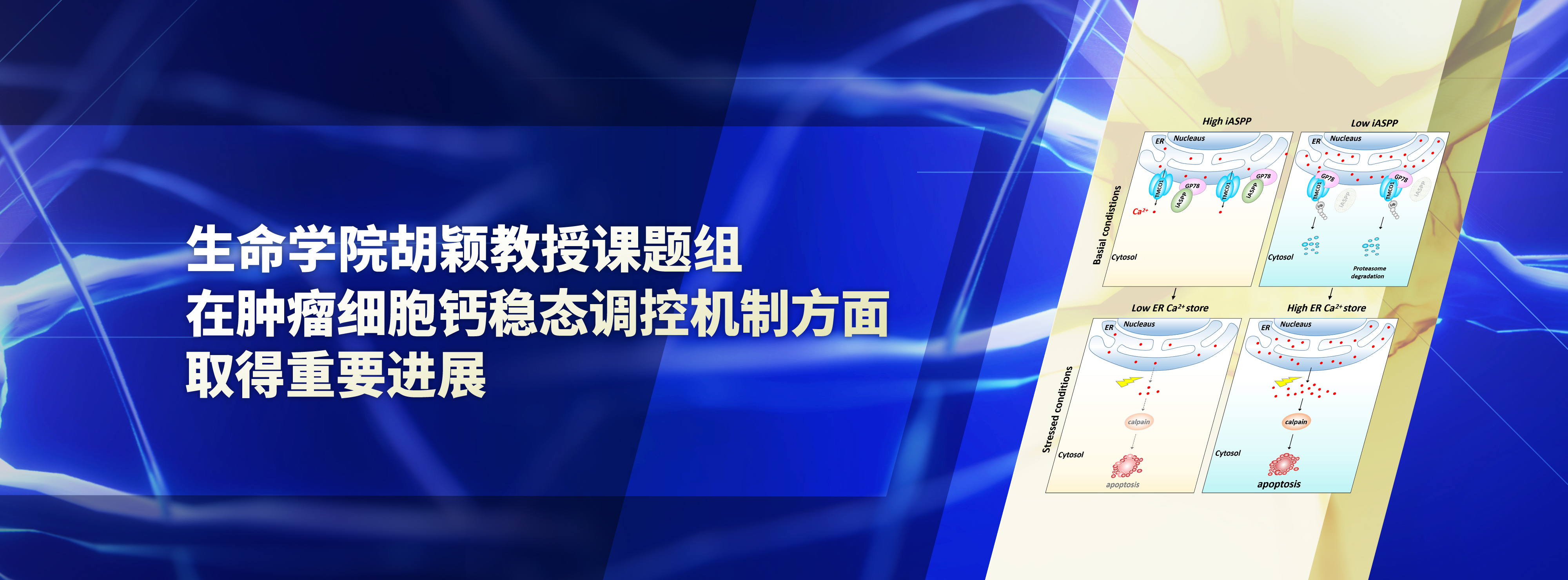 亚洲在线赌博平台导航