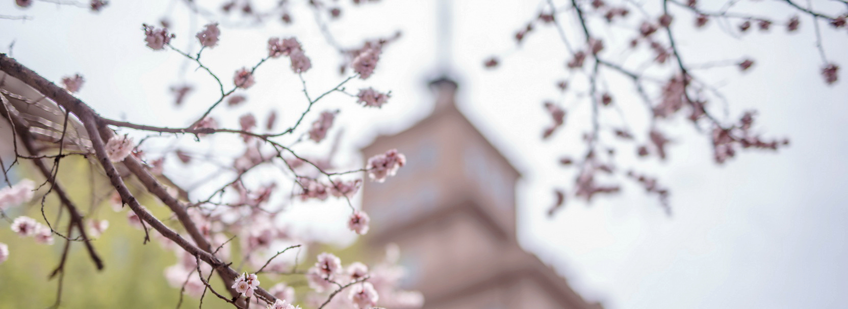 亚洲在线赌博平台导航