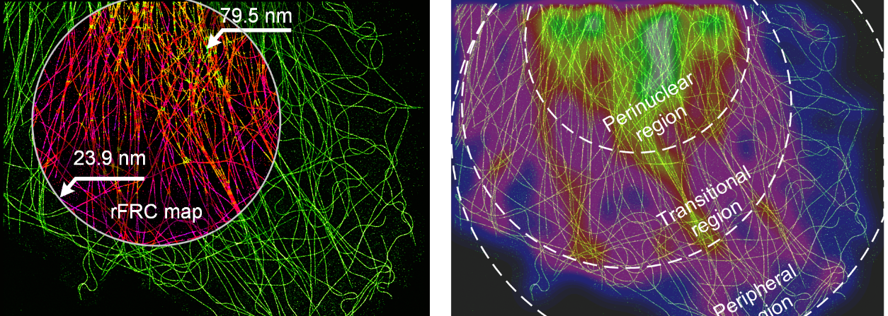 亚洲在线赌博平台导航