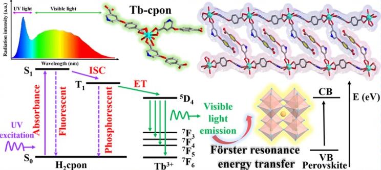 亚洲在线赌博平台导航