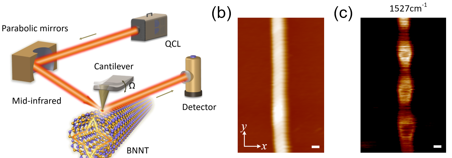 亚洲在线赌博平台导航