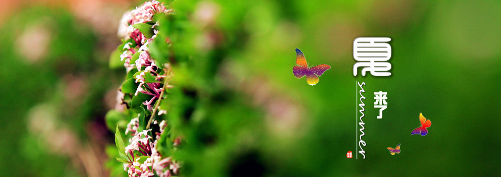 亚洲在线赌博平台导航