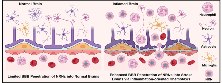亚洲在线赌博平台导航