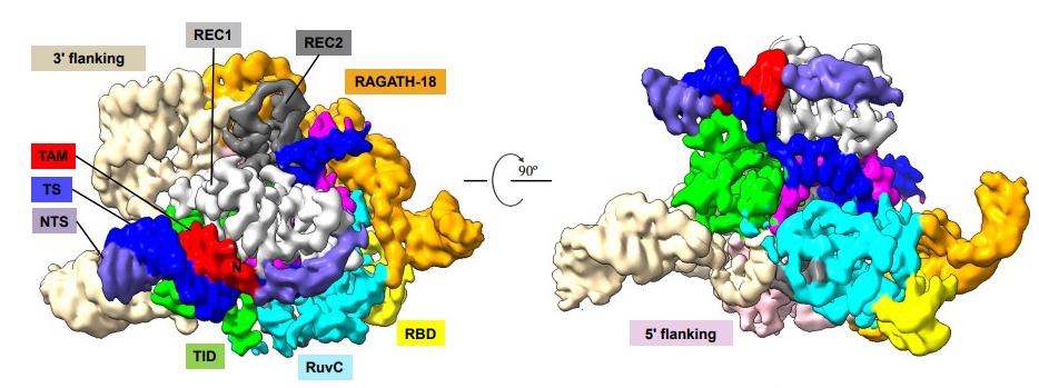 亚洲在线赌博平台导航