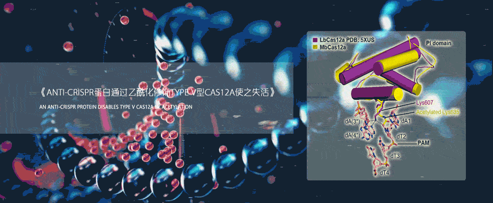 亚洲在线赌博平台导航