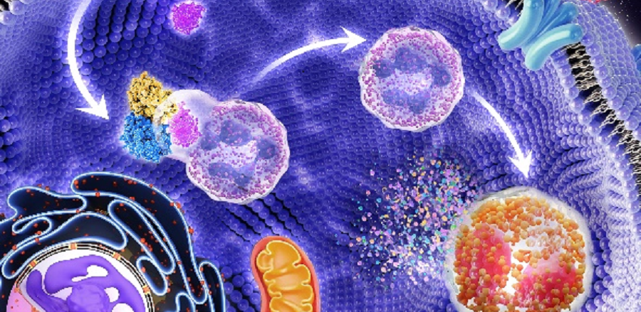 亚洲在线赌博平台导航