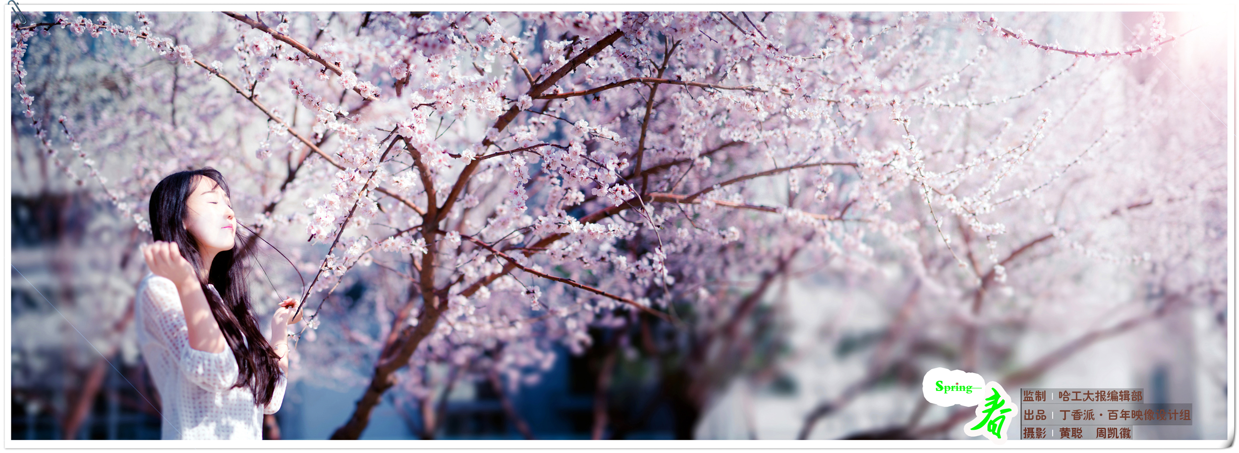 亚洲在线赌博平台导航