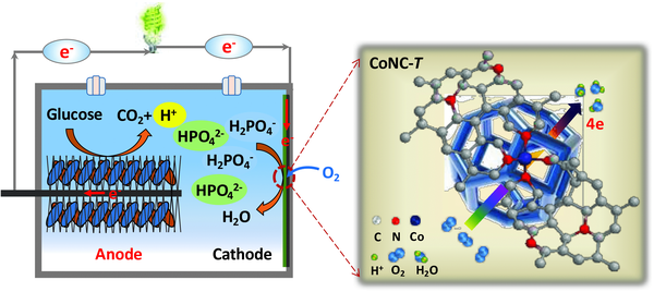 亚洲在线赌博平台导航