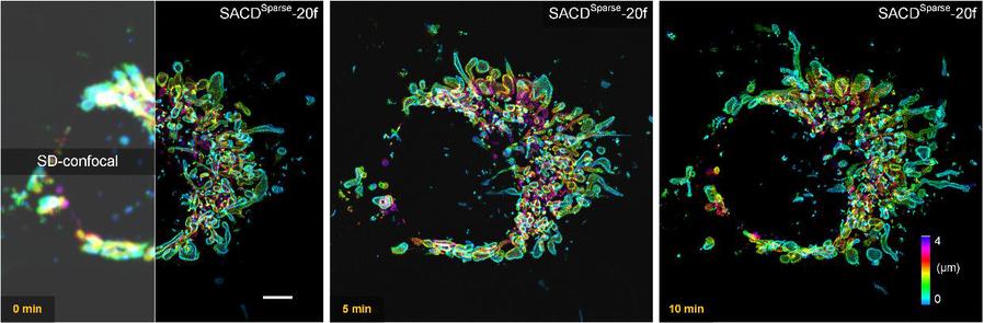 亚洲在线赌博平台导航
