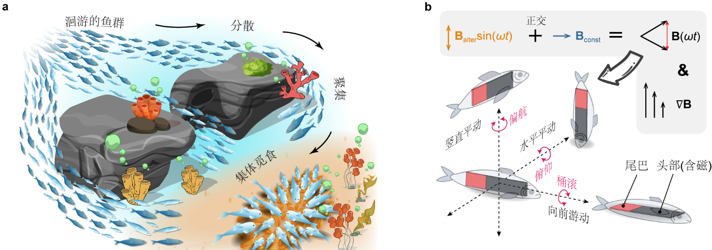 亚洲在线赌博平台导航
