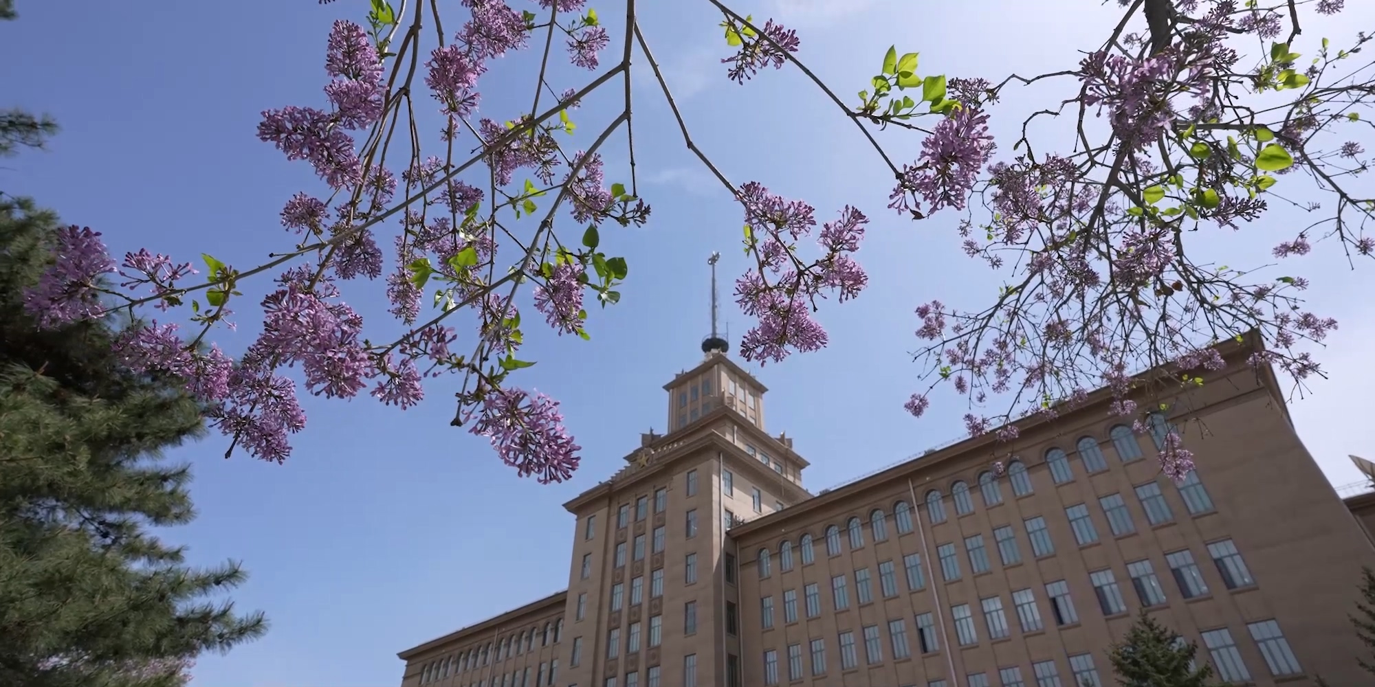 亚洲在线赌博平台导航