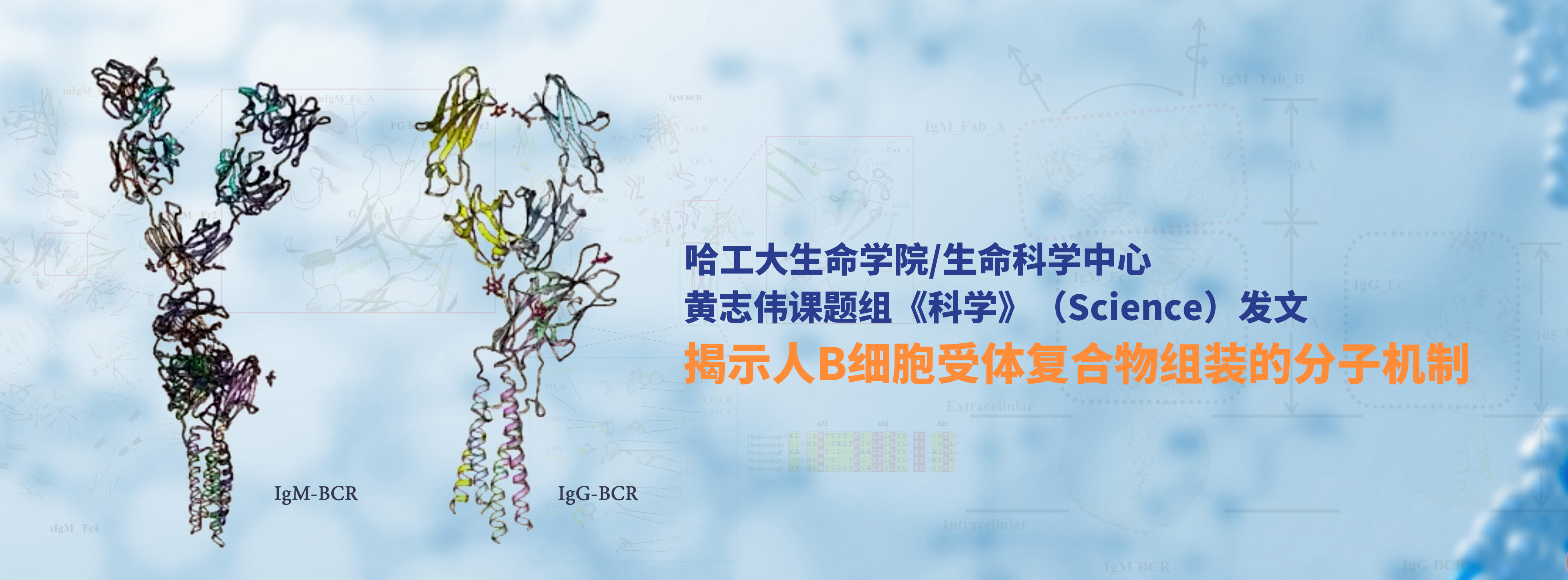 亚洲在线赌博平台导航