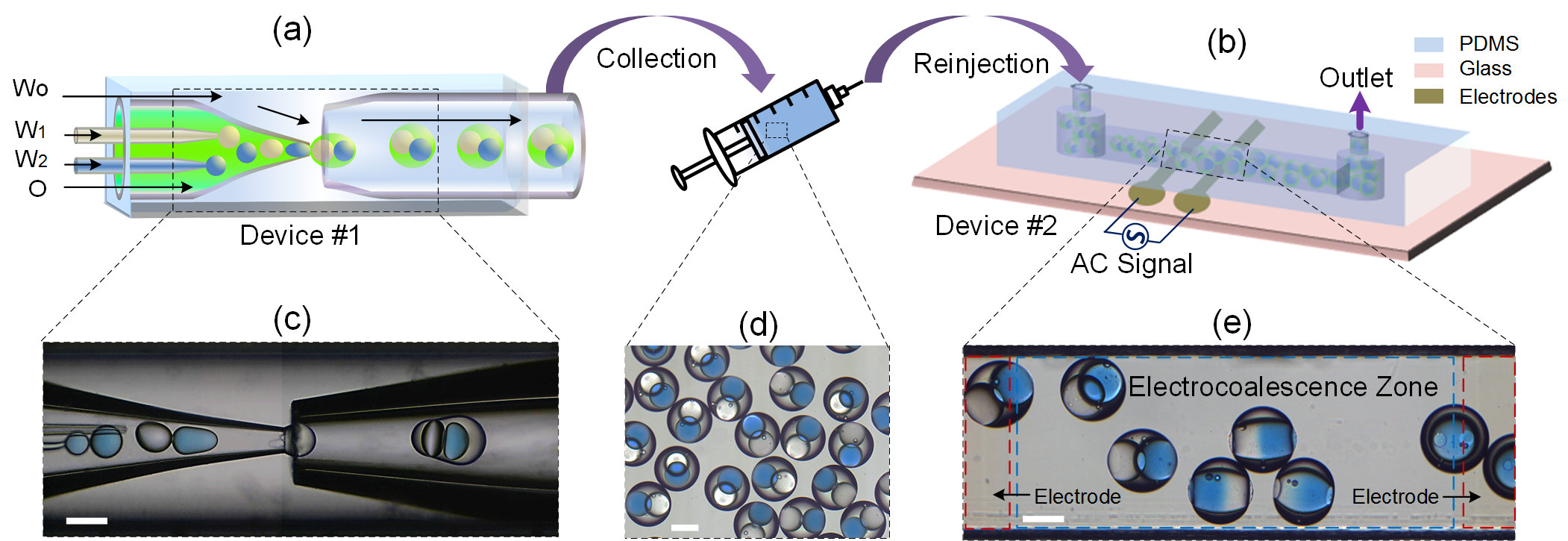 亚洲在线赌博平台导航