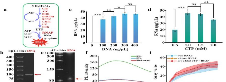 亚洲在线赌博平台导航