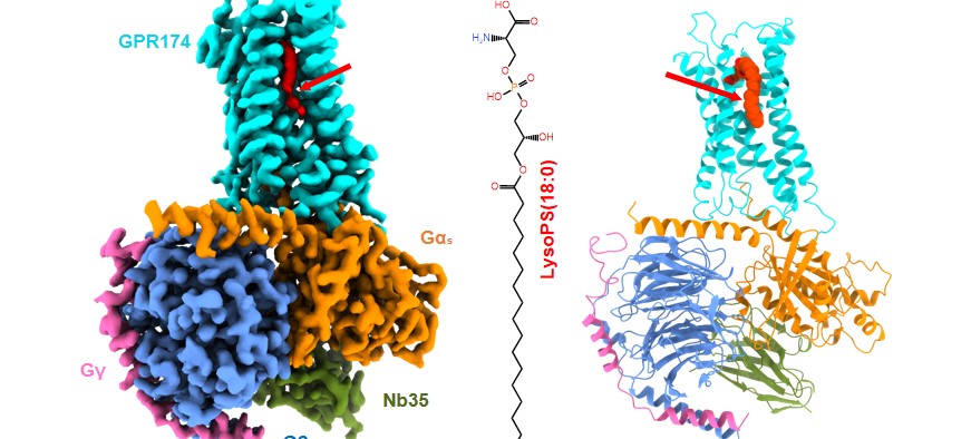 亚洲在线赌博平台导航