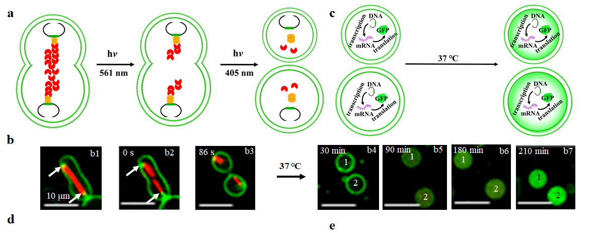 亚洲在线赌博平台导航
