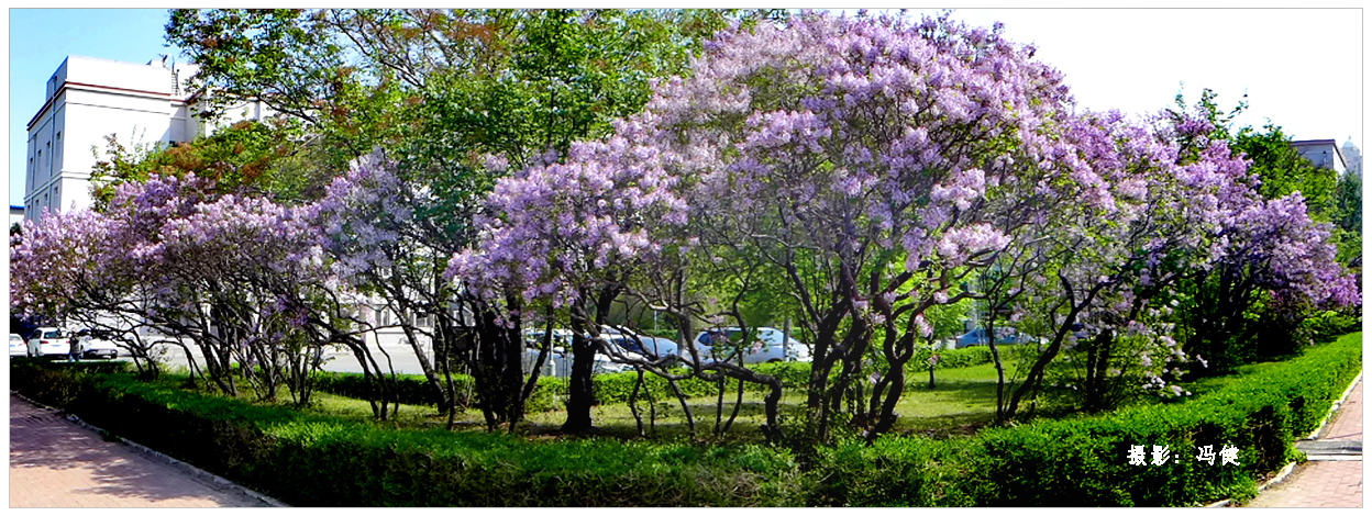 亚洲在线赌博平台导航