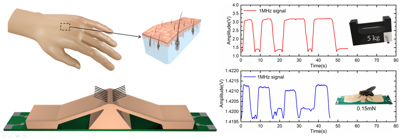 亚洲在线赌博平台导航