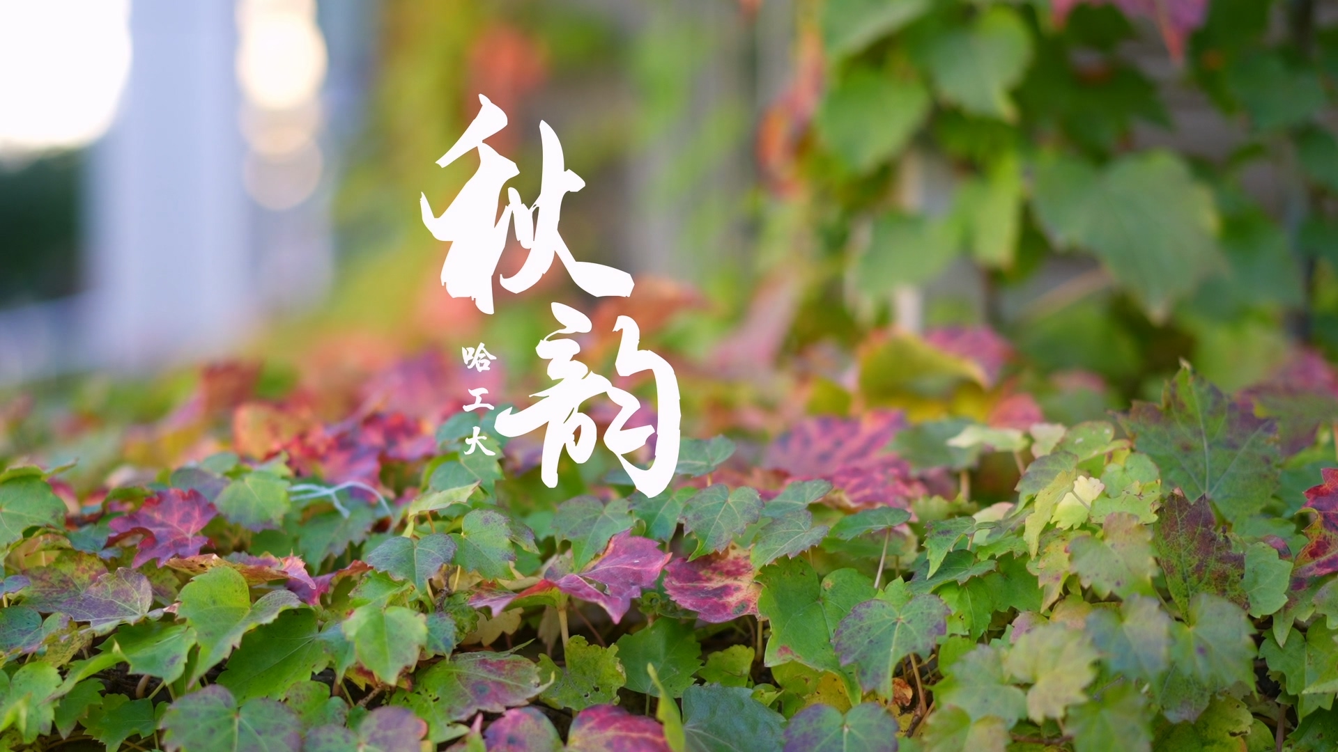 亚洲在线赌博平台导航