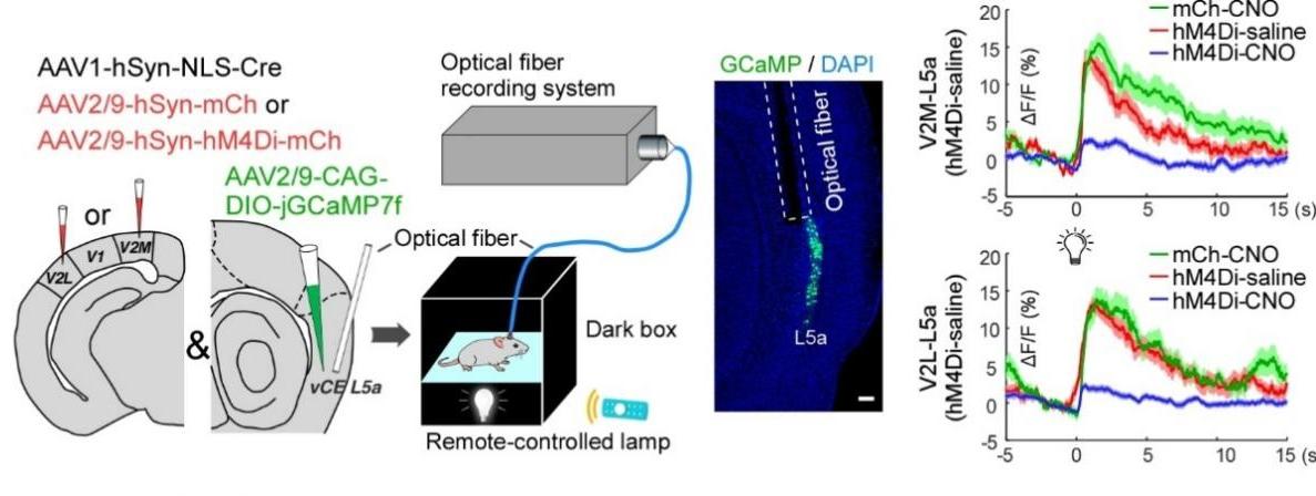 亚洲在线赌博平台导航